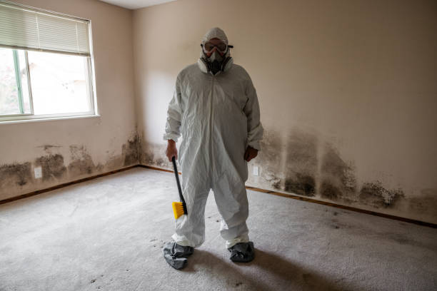 Best Environmental Consulting for Mold Prevention  in Navy Yard City, WA